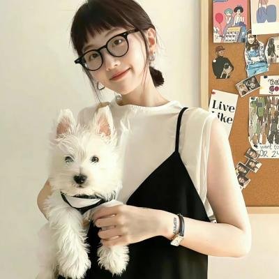 蛊惑狗寻宝